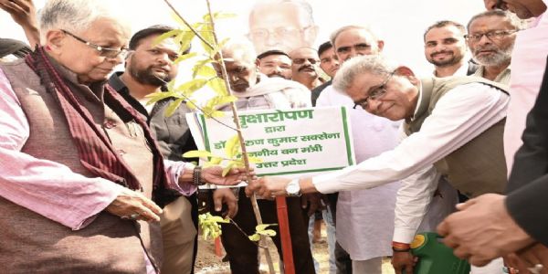 उत्तर प्रदेशको हरित क्षेत्रफलमा ३.३८ लाख ऐकर वृद्धि, नौ वर्षमा २४२ करोडभन्दा बढी बिरुवा रोपियो